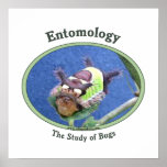 Entomology Caterpillar Bug Poster