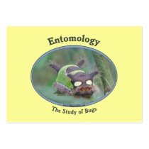 Entomology Caterpillar Business Card Template