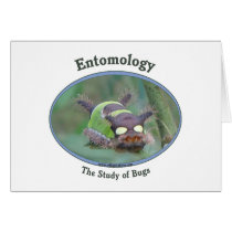Entomology Caterpillar Cards