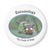 Entomology Caterpillar Refrigerator Magnet