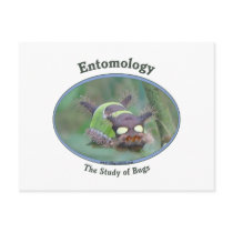 Entomology Caterpillar Post Card