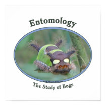 Entomology Caterpillar Posters