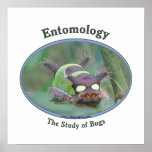 Entomology Caterpillar Posters