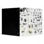 Entomology, Myriapoda and Arachnida 3 Ring Binders