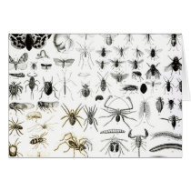 Entomology, Myriapoda and Arachnida Card
