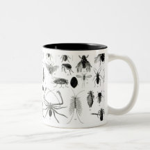 Entomology, Myriapoda and Arachnida Coffee Mugs
