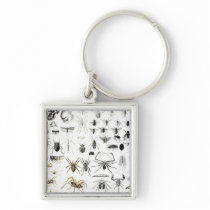Entomology, Myriapoda and Arachnida Key Chains