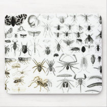 Entomology, Myriapoda and Arachnida Mousepad