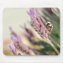 Entomophily mousepads