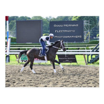Entrenamientos de la madrugada en Saratoga Postal