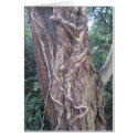 Entwined cards