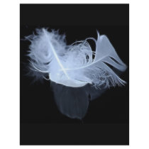 Entwined feathers are symbolic of mysticism flyers