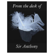 Entwined feathers are symbolic of mysticism letterhead design
