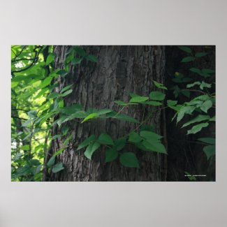 Entwined Tree Print