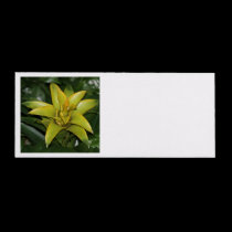 Envelope, Yellow Bromeliad envelopes