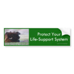 environment bumper sticker