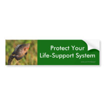 environment bumper sticker