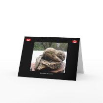 Environmental - Canadian Beaver Sculpture Card
