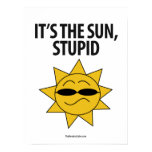 Environmentalism - Smug Sun: Protest Poster