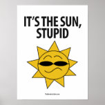 Environmentalism - Smug Sun: Protest Poster