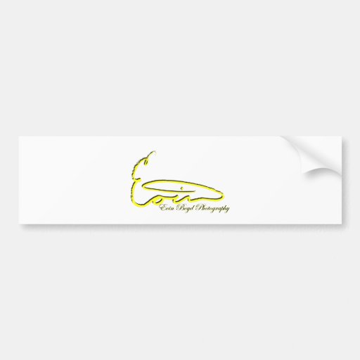 Eoin Boyd Products Bumper Sticker