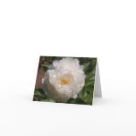 Ephemeral Note Card