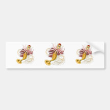 Epibulia Bumper Sticker