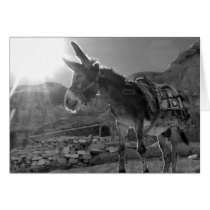 Epic Donkey Cards