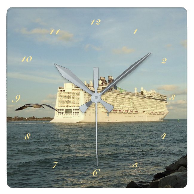 Epic Pursuit - Gull Following Cruise Ship