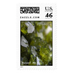 Epidote 2