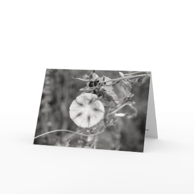 Epigram Greeting Cards by mhartford