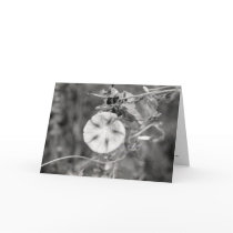 Epigram cards by mhartford Epigram cards