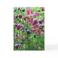 Epimedium Flowers card