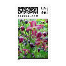 Epimedium Flowers – Medium stamp