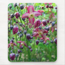 Epimedium Flowers Mousepad