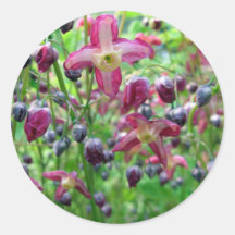 Epimedium Flowers Round Stickers