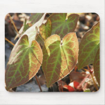 Epimedium Foliage 1 Mouse Pads