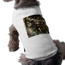 Epiphany pet clothing