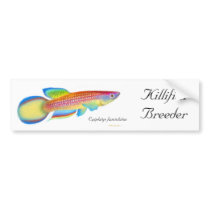 Epiplatys Killifish Bumper Sticker bumper stickers