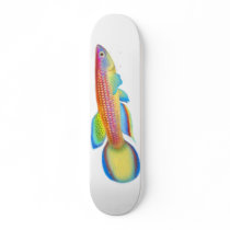 Epiplatys Killifish Skateboard