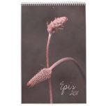 Épis - 2011 calendar