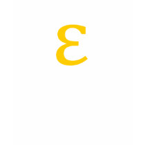 epsilon t shirt
