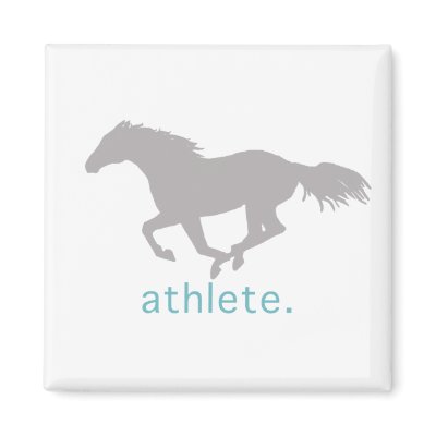 Equestrian Athlete Refrigerator Magnets by PaintingPony
