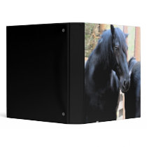 Equestrian Fresco Binder by genmandrake Equestrian Fresco Binder