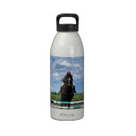Equestrian Horse Jump Reusable Water Bottles