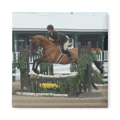 Equestrian Magnet by EquineGal