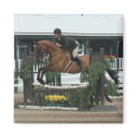 Equestrian Magnet