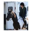 Equestrian Poster posters