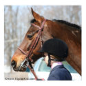 Equestrian Poster posters