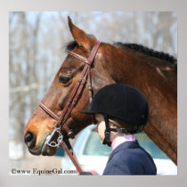 Equestrian Poster